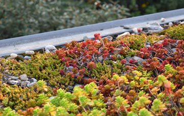 the cost of Chilfrome green roof installation